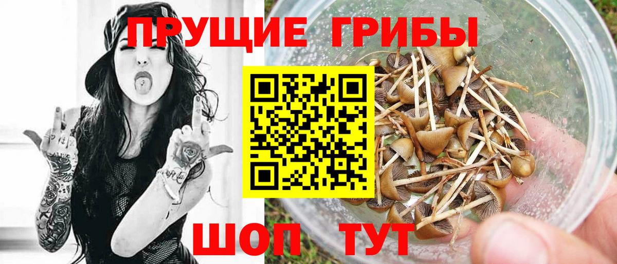 Псилоцибиновые грибы мухоморы  Галлюциногенные грибы Cubensis  Алапаевск  Вход с VPN 